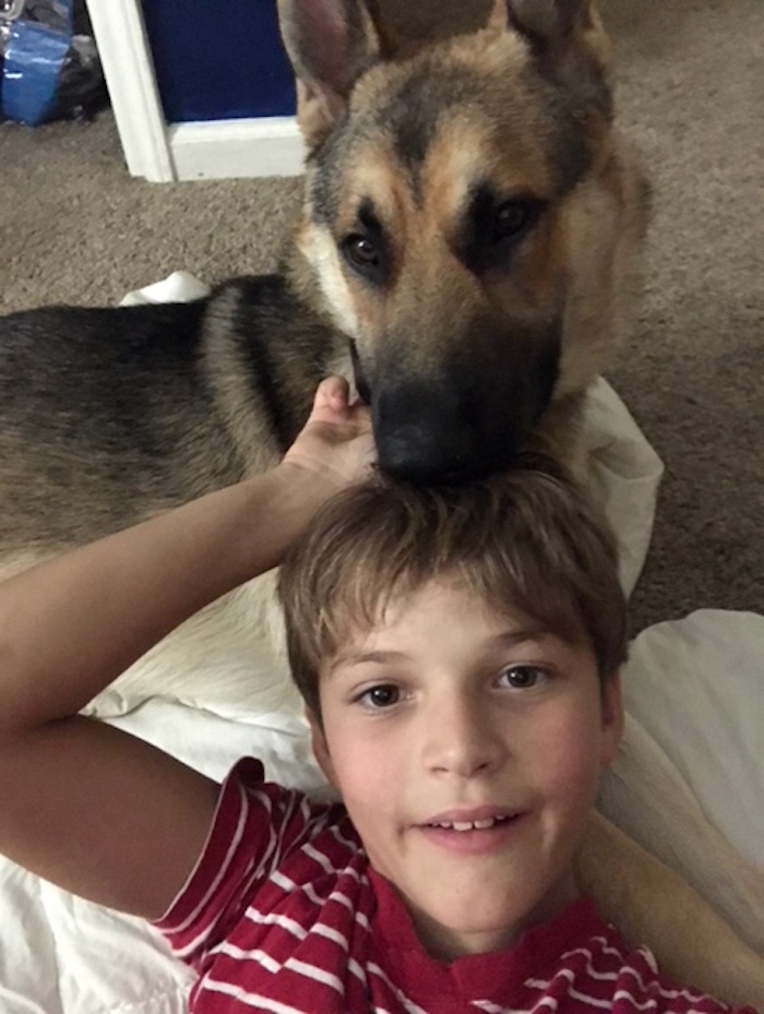 Missing Dog