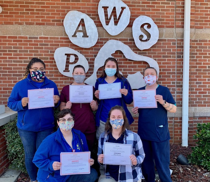 PAWS Employees Hold Fear Free Program Certificates