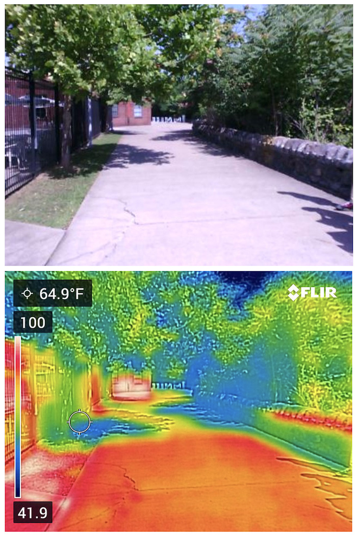 Urban Heat Youth Fellows research project