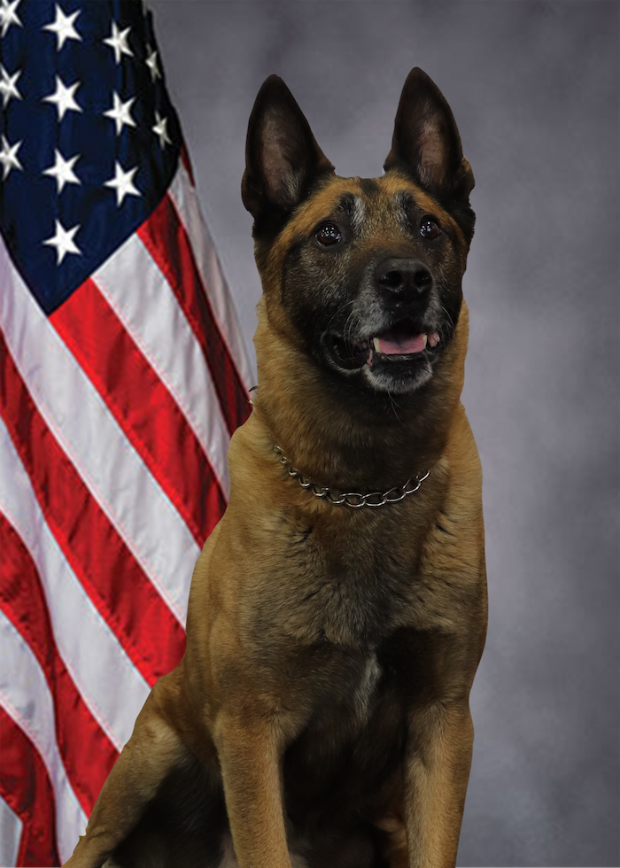 La Vergne Police Department K9 Mike