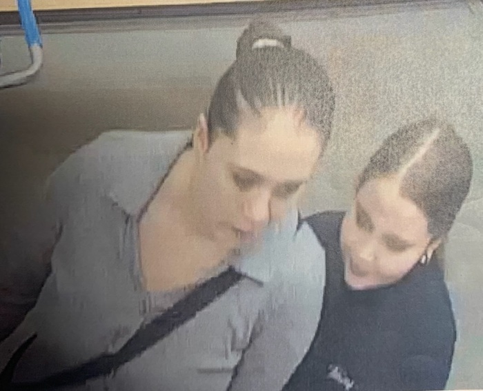 BOLO Walmart Fraud Case