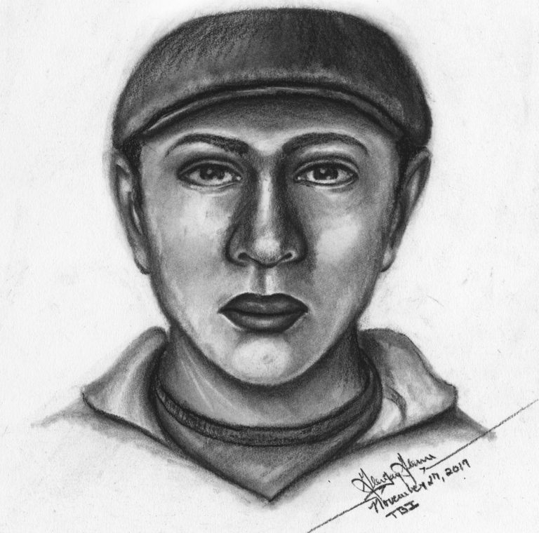 Ongoing Aggravated Rape / Aggravated Robbery Investigation