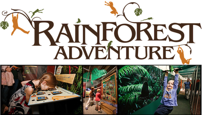 Rainforest Adventure