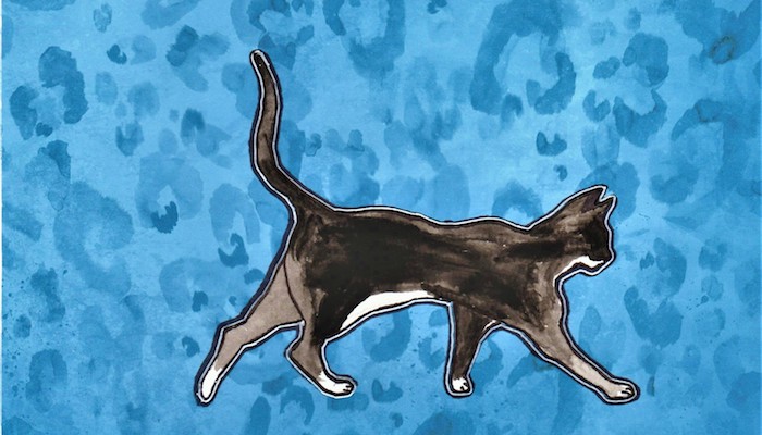 Maeby the Cat