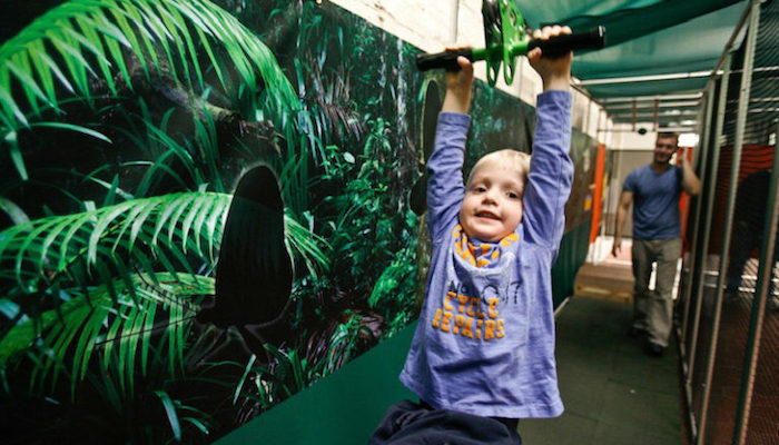Rainforest Adventure exhibit