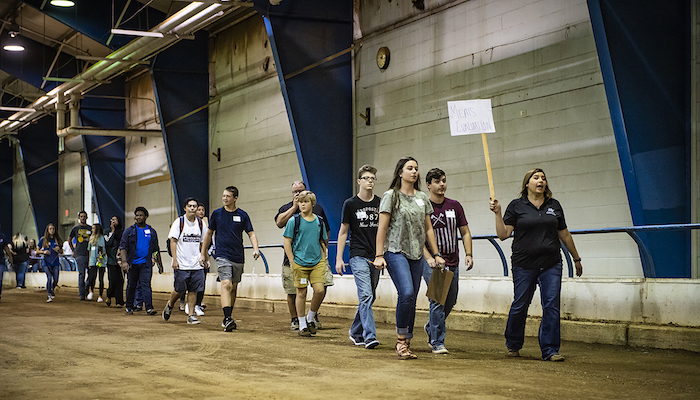 Raider Roundup