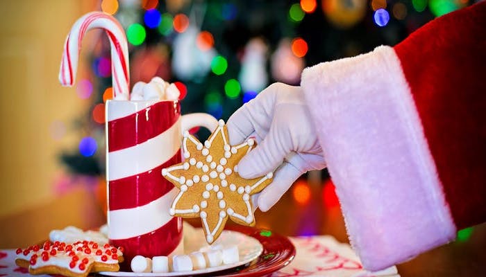 Cookies for Santa