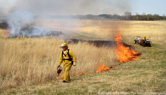 Prescribed Fire