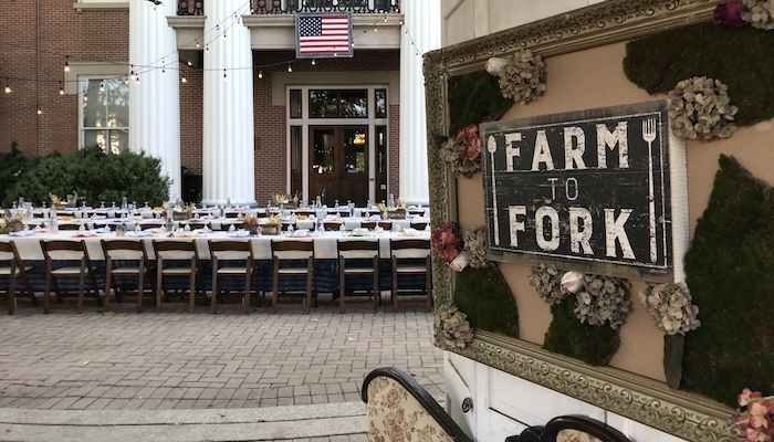 Downtown on the Farm