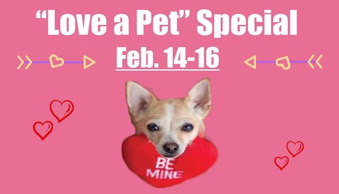 Love a Pet Adoption Special