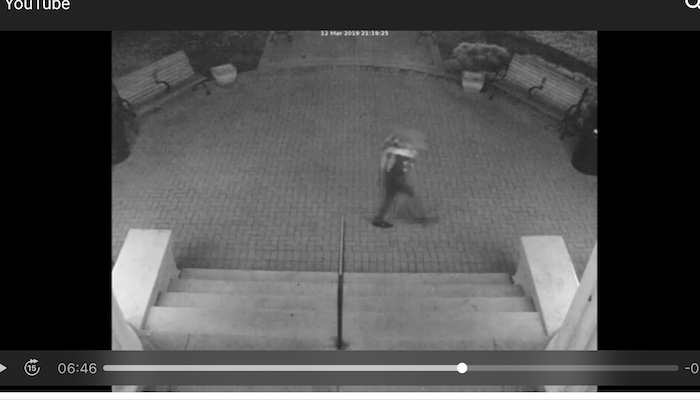 Vandalized Monument Suspect