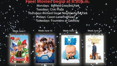 Movies Under the Stars July 1, 2019