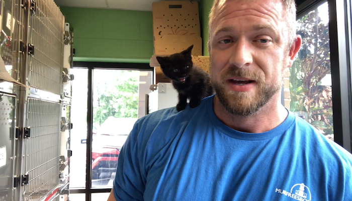 PAWS Pets for Adoption June 10, 2019