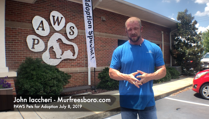 PAWS of Rutherford County Pets for Adoption July 8, 2019