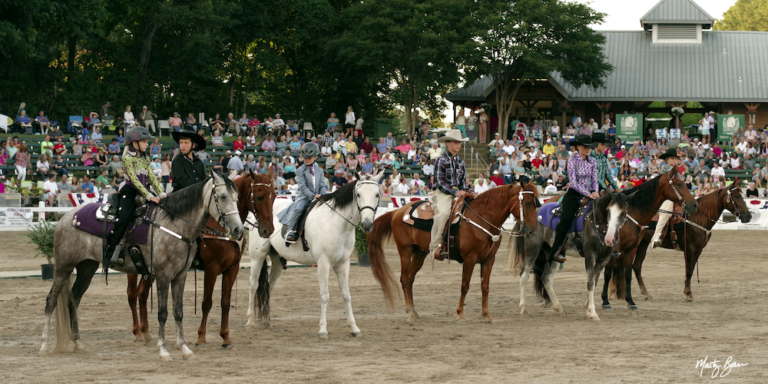 Pleasure and Colt Grand Championship Horse Show