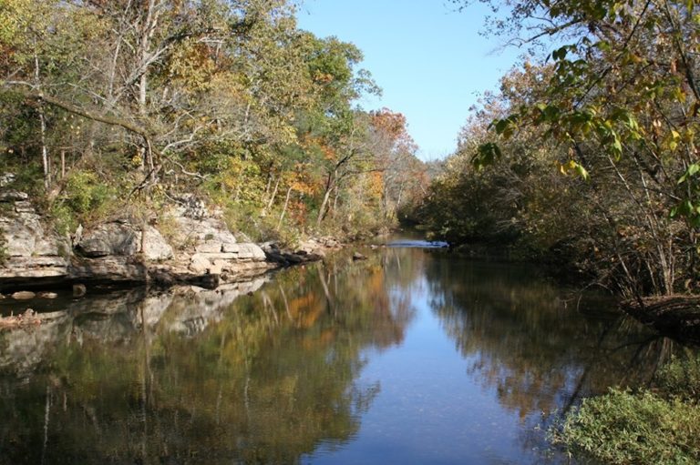 Stones River Clean-Up