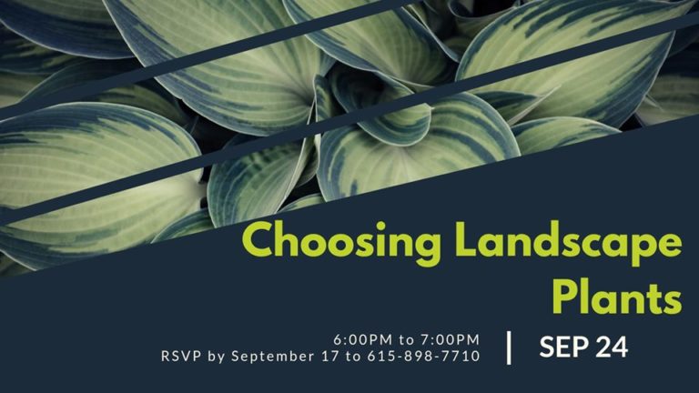 Choosing Landscape Plants