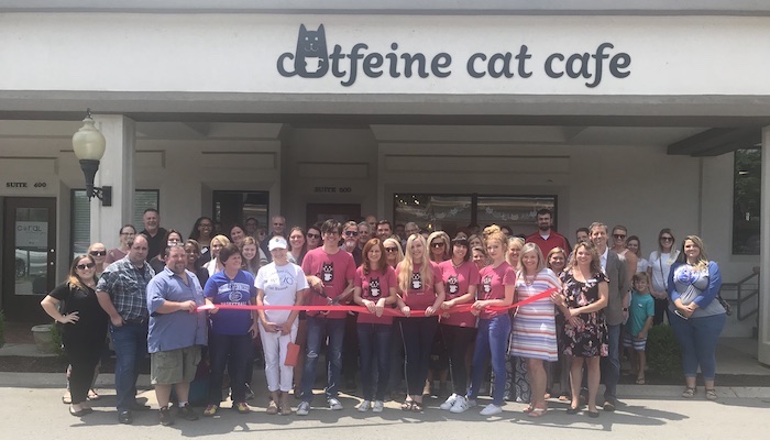 Ribbon Cutting Celebration for Catfeine Boro Cat Cafe