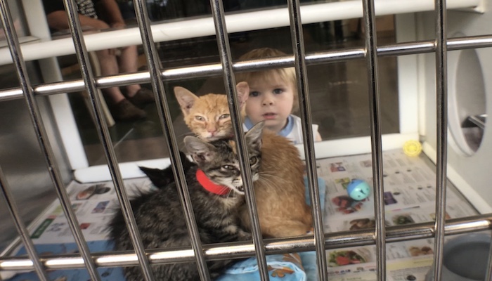PAWS Pets for Adoption October 1, 2019