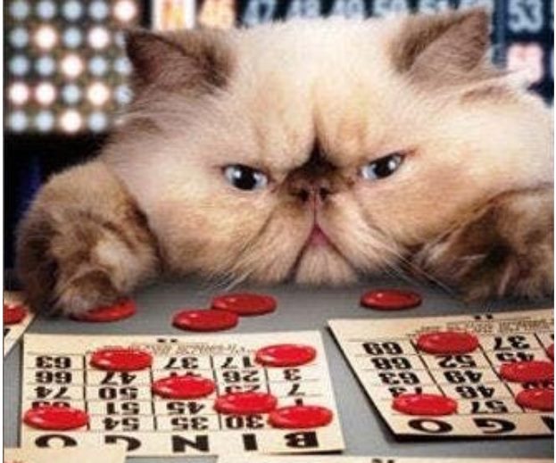BINGO (21+ BYOB)