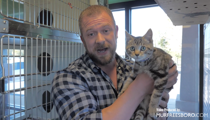 PAWS Pets for Adoption November 6, 2019