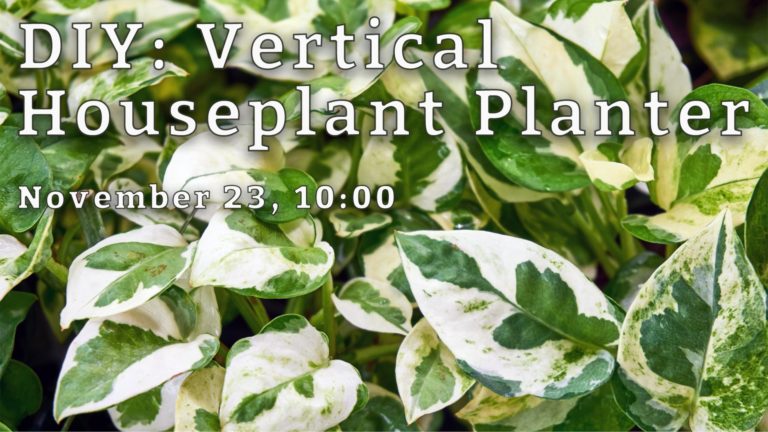 DIY: Vertical Houseplant Planter