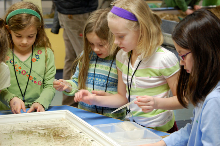 Homeschool Programs