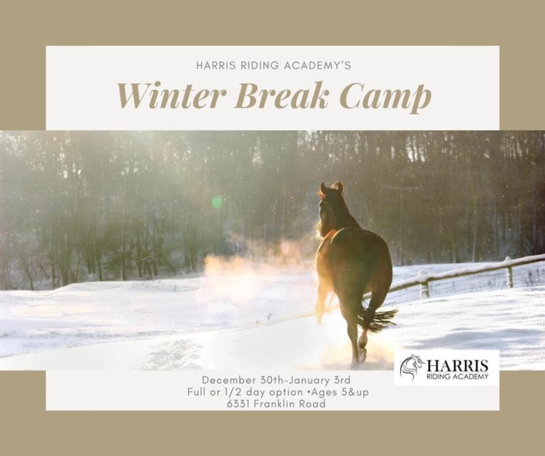 Winter Break Horse Camp