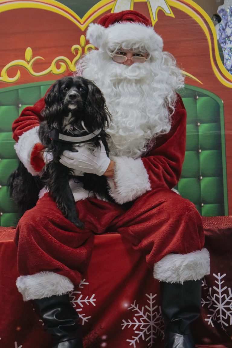 Santa Photos
