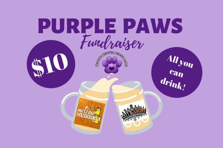 $10 for Unlimited Beer to benefit Purple Paws