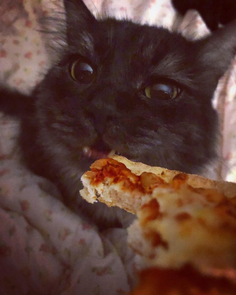 Pizza Pawty & Game Night (21+ BYOB)