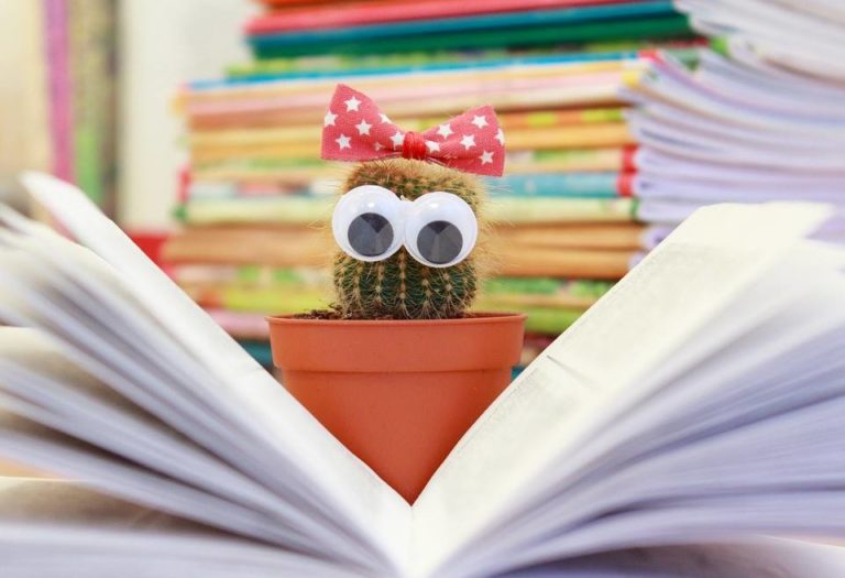 Stones River Town Centre Storytime