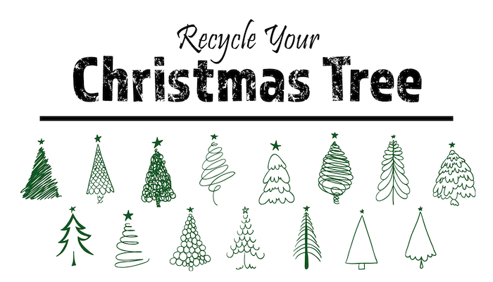 Recycle Your Christmas Tree