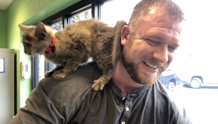 PAWS of Rutherford County Pets for Adoption February 25, 2020