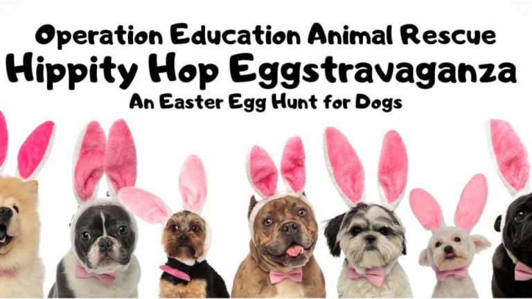 Hippity Hop Eggstravaganza