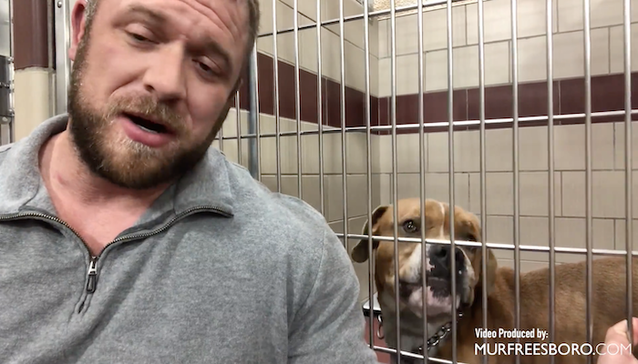 PAWS of Rutherford County Pets for Adoption March 11, 2020