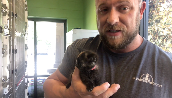 PAWS of Rutherford County Pets for Adoption June 10, 2020