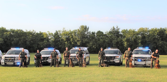 Sheriff's K9s celebrate National Dog Day