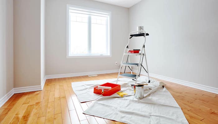 Professional Painter