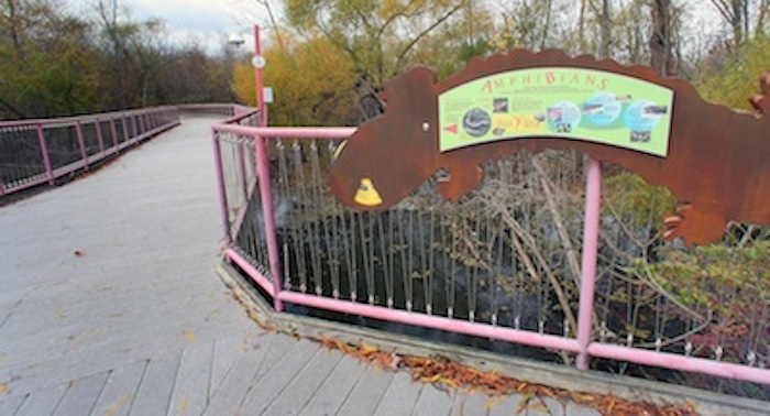 Murfree Spring Wetlands
