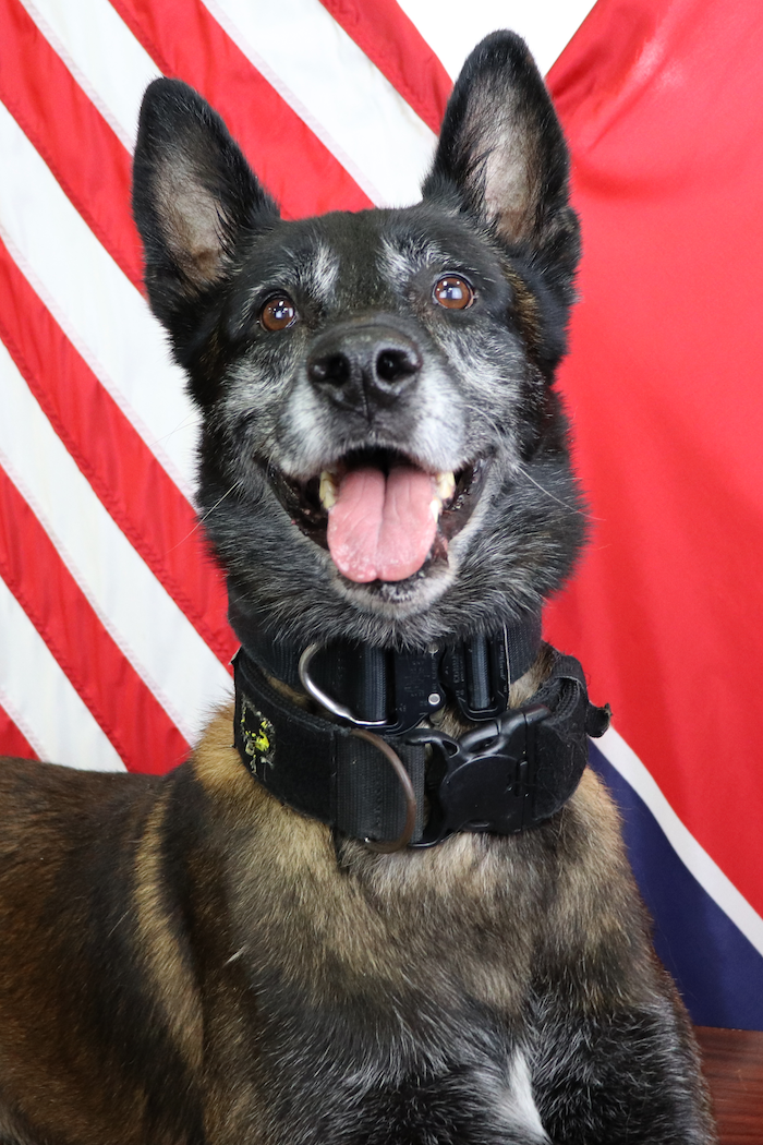 La Vergne K9 Officer Sjaak