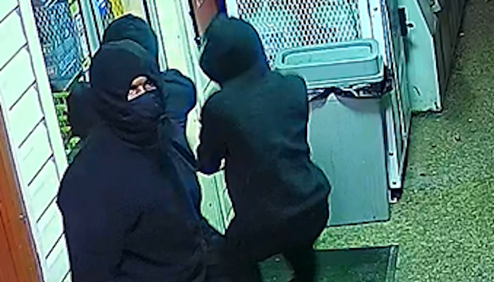 Suspects used crowbar to break into two Nashville business minutes apart, stealing cash