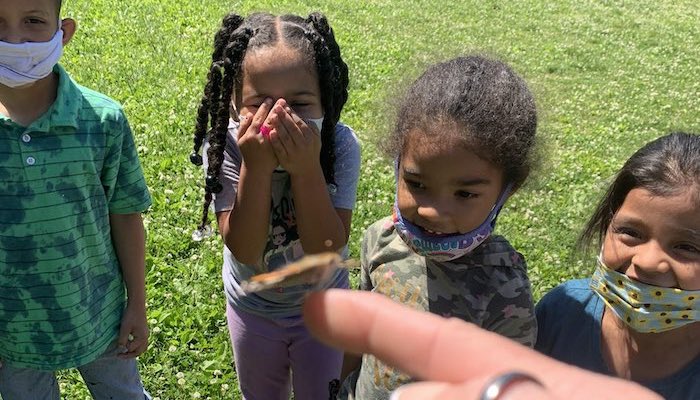Bradley Academy Students Learn About Butterflies