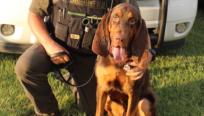 Missing DeKalb County girl hugs bloodhound who located her