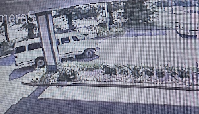 Van Getaway Vehicle