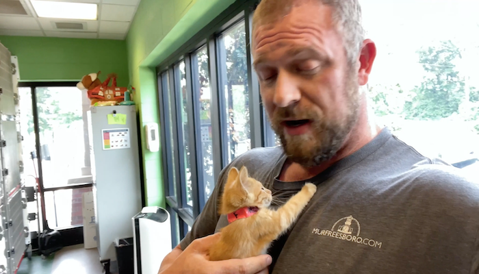 PAWS of Rutherford County Pets for Adoption July 21, 2021