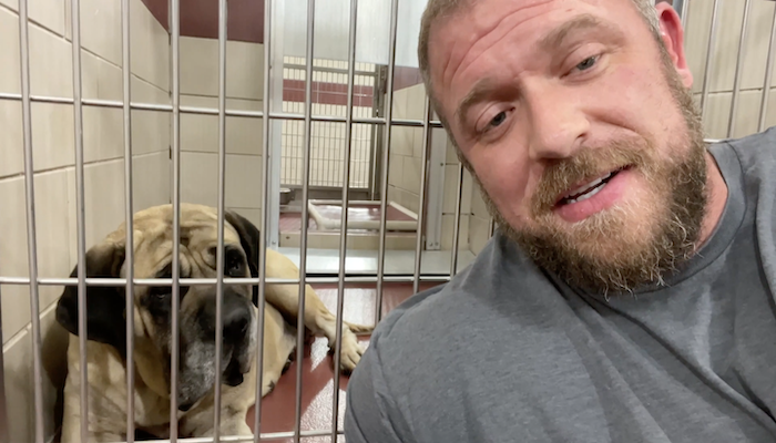 PAWS of Rutherford County Pets for Adoption August 12, 2021