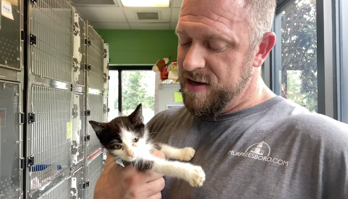 PAWS of Rutherford County Pets for Adoption September 16, 2021