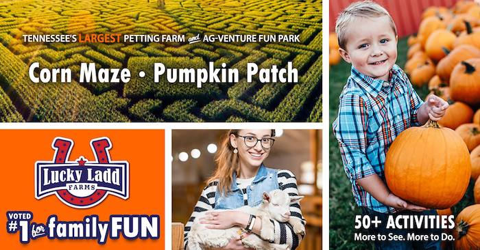 Pumpkin Patch and Corn Maze
