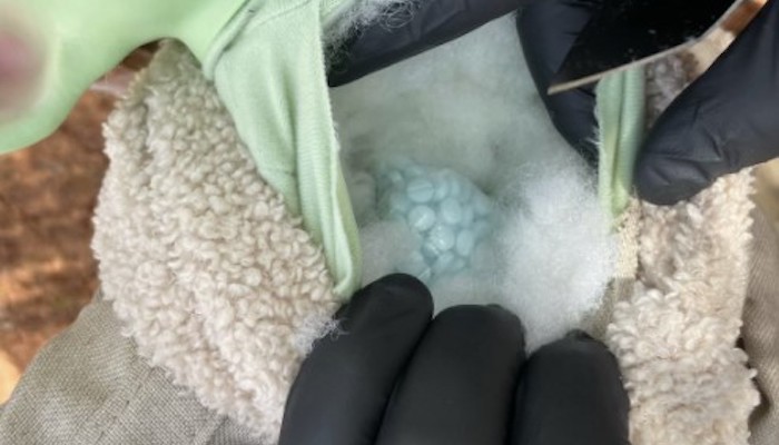 Sheriff’s deputies seize Fentanyl pills